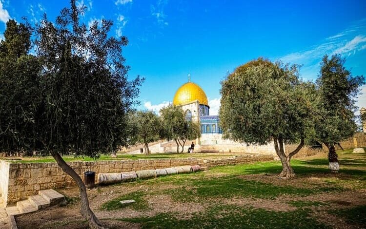  الإعلان عن جائزة مركز دراسات القدس لعام 2025