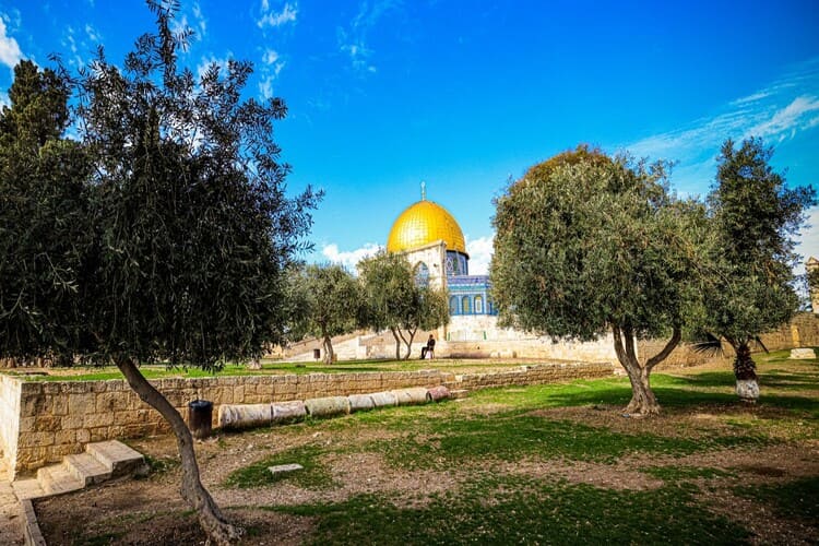  الإعلان عن جائزة مركز دراسات القدس لعام 2025